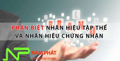 nhan hieu tap va nhan hieu chung nhan