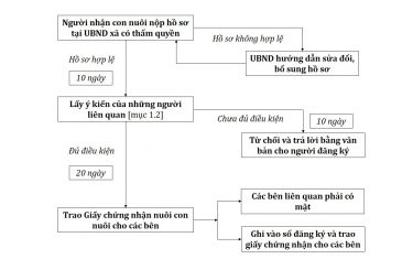 Trình tự thủ tục nhận nuôi con nuôi trong nước tại Việt Nam 11 thu tuc dang ky nhan con nuoi trong nuoc 4
